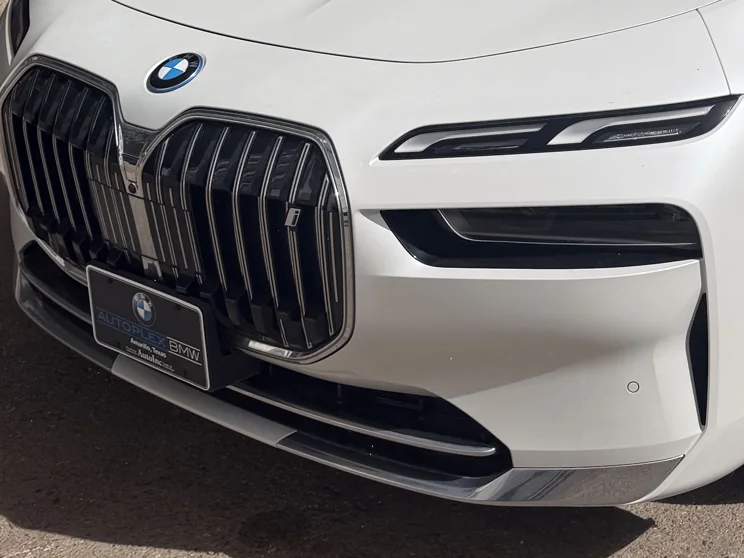 Close-up of a polished BMW grille and headlight after detailing
